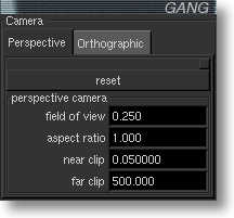 Perspective Camera Panel