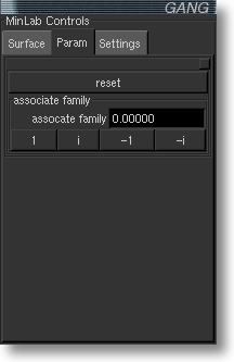 MinLab Parameters Panel